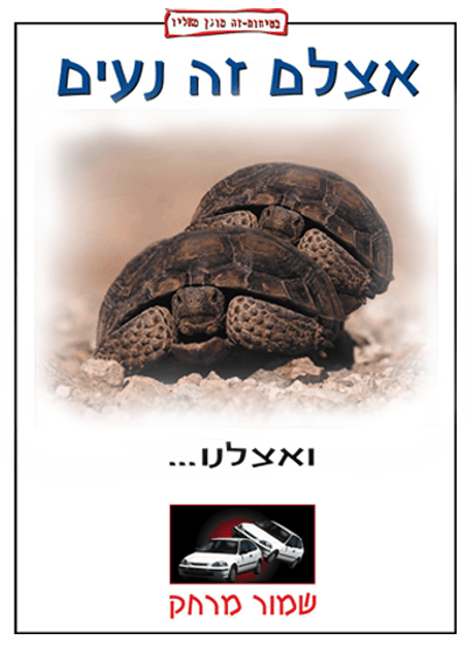 safety6