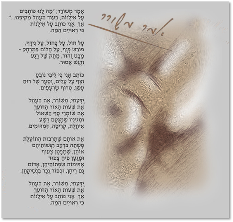 poets decleration