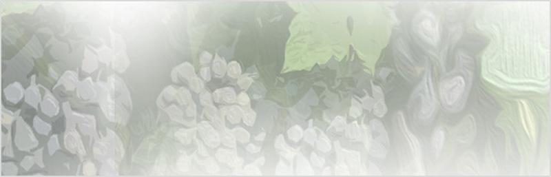 about image