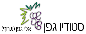 logo eli geffen 300px